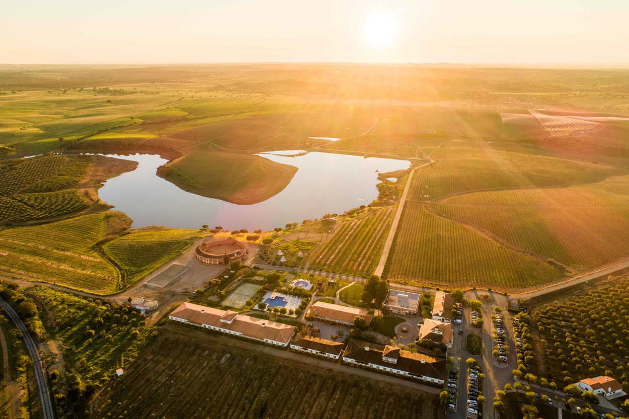 VG Alentejo Vineyards Aerea 1